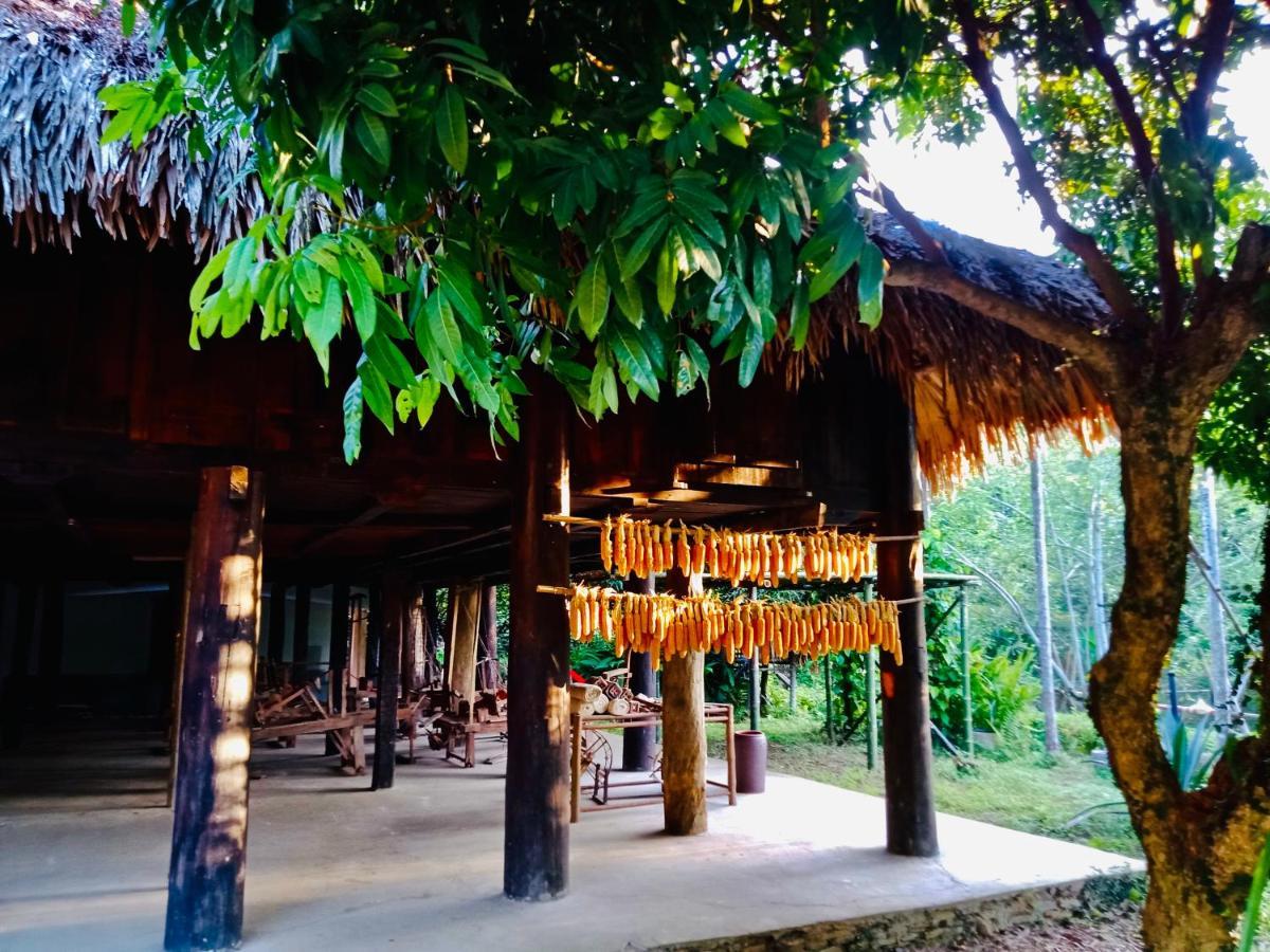 Muong Retreat- Nghi Duong Xanh Trong Bao Tang Van Hoa Nghe Thuat,Hoa Binh酒店 外观 照片