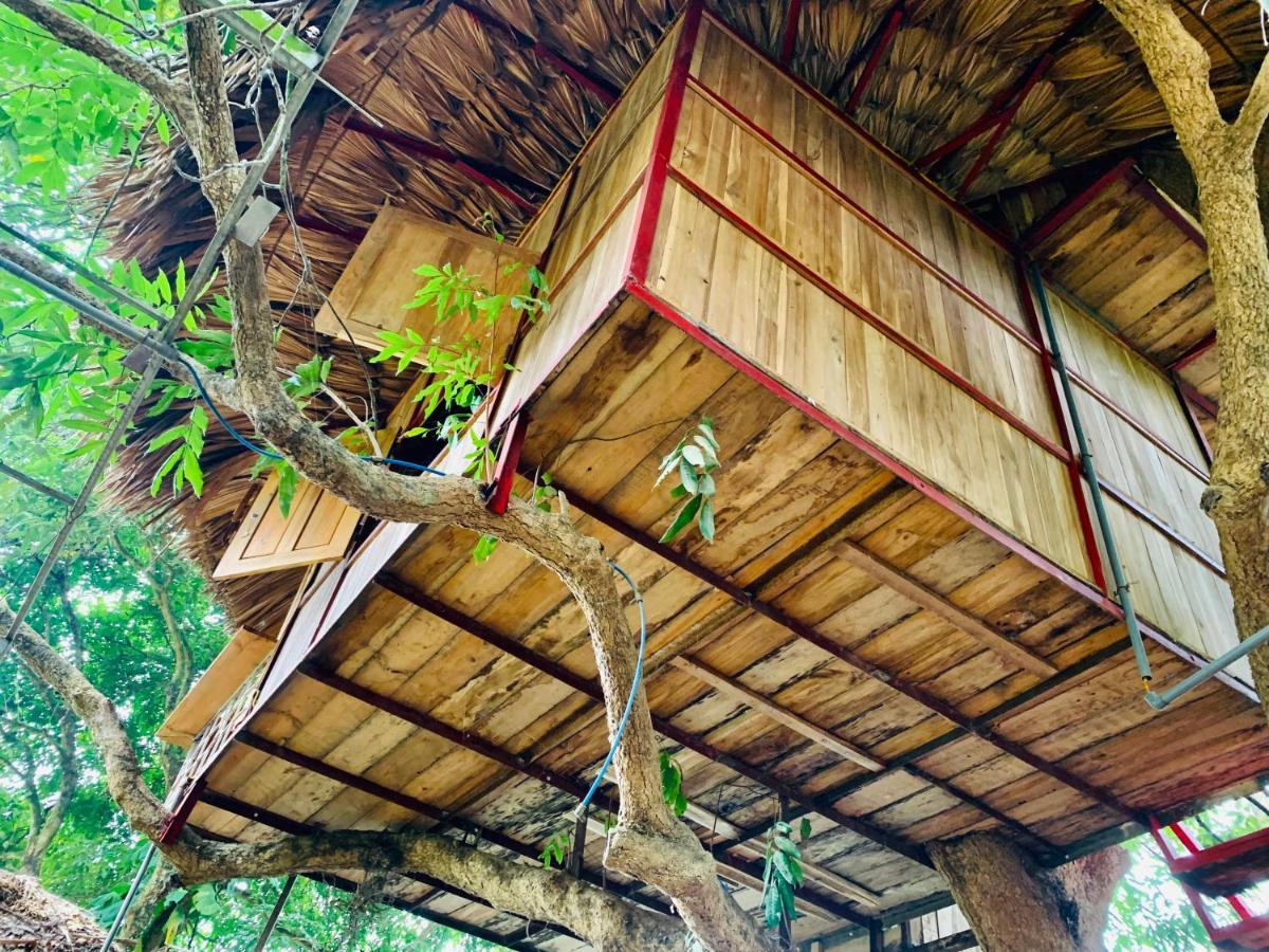 Muong Retreat- Nghi Duong Xanh Trong Bao Tang Van Hoa Nghe Thuat,Hoa Binh酒店 外观 照片